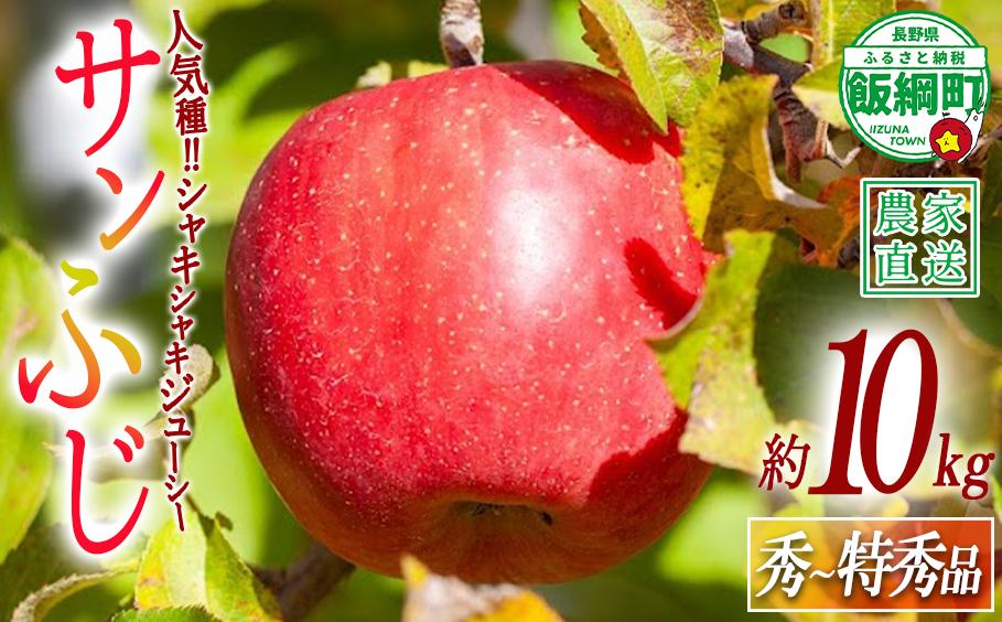 
                  りんご サンふじ 秀 ～ 特秀 10kg 松澤農園 2026年11月下旬頃から2027年2月上旬頃まで順次発送予定 令和8年度収穫分 長野県 飯綱町 [1067]
                