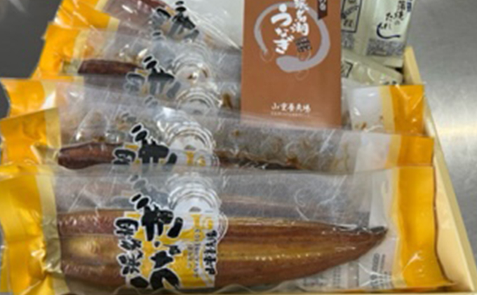 浜名湖産鰻　蒲焼 約160g×10本 セット 土用の丑の日 丑の日