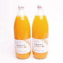 【ふるさと納税】とろり　みかんネクター1000ml×2本【無添加100%ストレートジュース】【有田みかんジュース】/ 和歌山 ミカン 濃厚 ドリンク