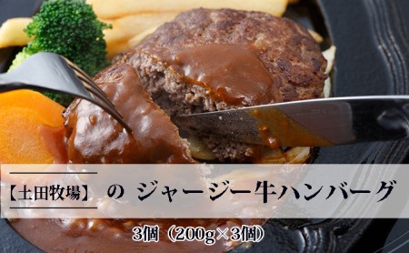 ジャージー牛使用 ハンバーグ 200g 3個 土田牧場 ジャージー牛 牛肉 牛ハンバーグ 惣菜 簡単調理 温めるだけ レトルト レトルト食品 レトルトハンバーグ 加工肉 秋田 秋田県 にかほ市