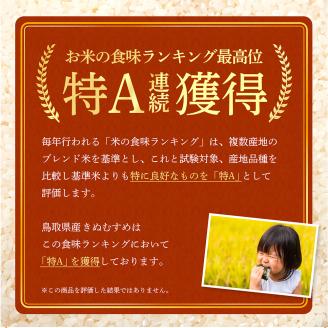 鳥取県南部町産きぬむすめ10kg［令和5年産］　真空パック、白米、精米、玄米と無洗米も選べる、長期保存、ドットクルー