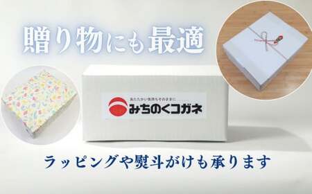 生そうめん 12食　ストレートつゆ付 夏季限定 黄金製麵 C0532 岩手県 北上市