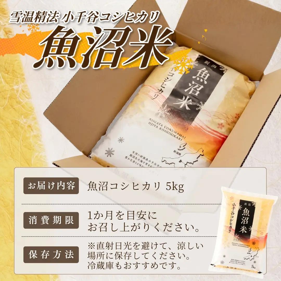 魚沼産コシヒカリ 精米 5kg | コシヒカリ  新潟県小千谷市 令和7年