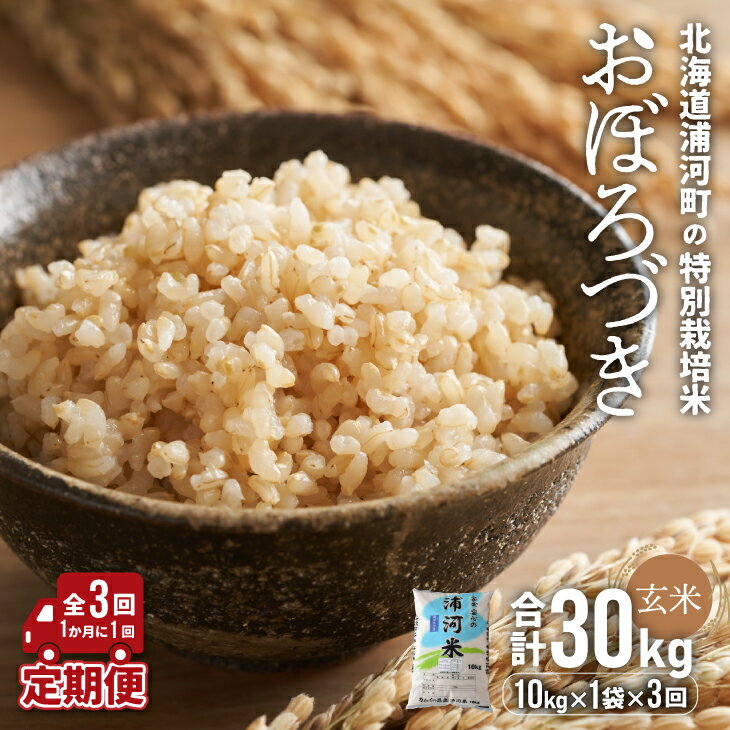 【ふるさと納税】北海道浦河町の特別栽培米「おぼろづき」玄米(10kg×1袋)定期便(全3回)[37-1176] 北海道 浦河 ふるさと納税 特別栽培米 おぼろづき 米 玄米 定期便 全3回 送料無料