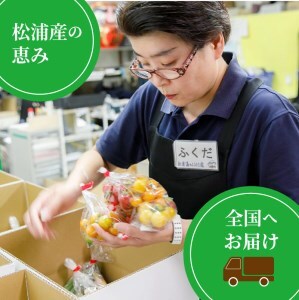 【B2-151】道の駅松浦海のふるさと館『旬のお野菜＋お米5kg』の大満足セット！