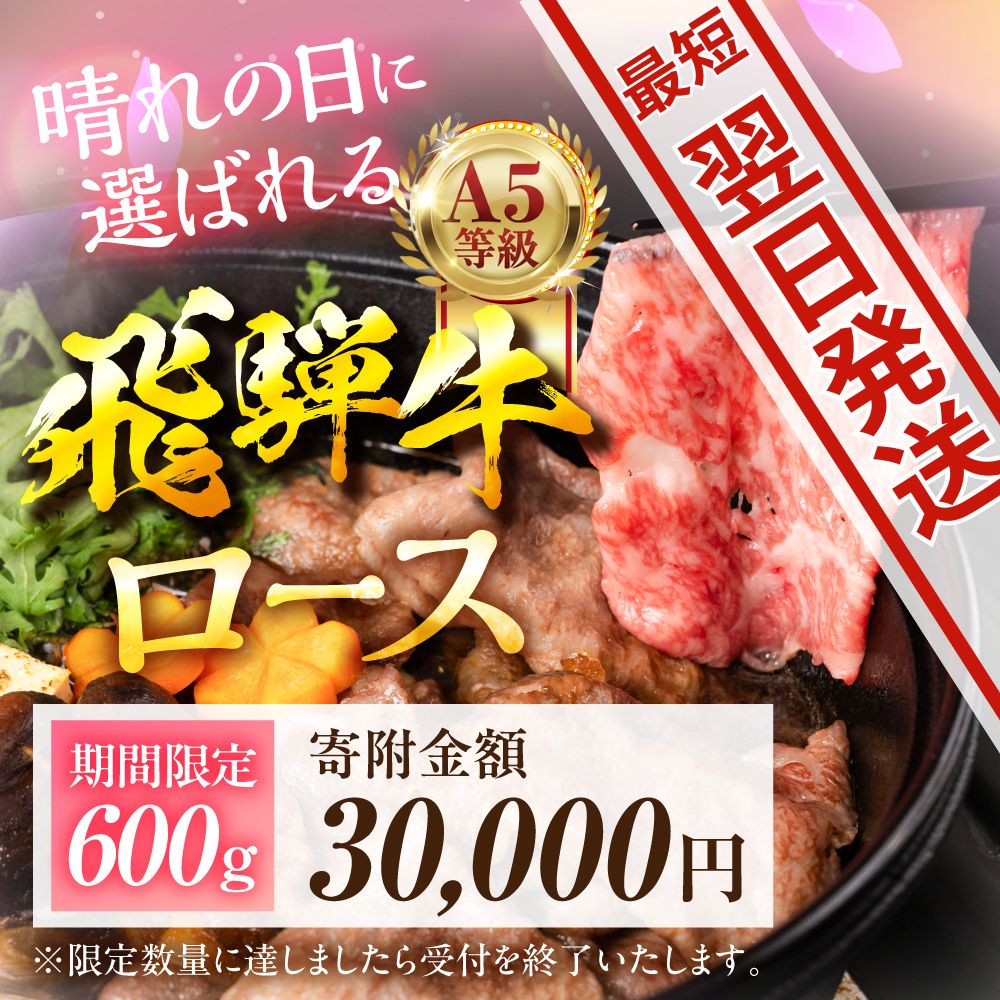 【ふるさと納税】【最短翌日発送・数量限定】飛騨牛 A5等級 すき焼き用 ロース肉 600g～（300g×2）≪選べる≫ すき焼き 定期便 リブロース A5 A5ランク 牛肉 黒毛和牛 和牛 国産 厳選 高級 高級肉 冷凍 お祝い 記念日 ランキング 20000円 2万円 中部ミート 岐阜県 大垣市