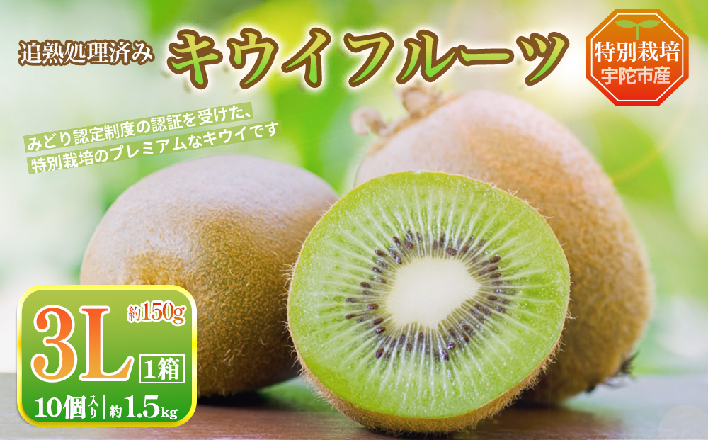 ＜12月?3月発送＞プレミアム キウイ フルーツ 3L サイズ 10個入 追熟処理済 ／ ふるさと納税 キウイ キウイフルーツ ギフト 栄養 果物 お土産 化学肥料不使用 特別栽培 塩 奈良県 宇陀市 やまとファームJAPAN