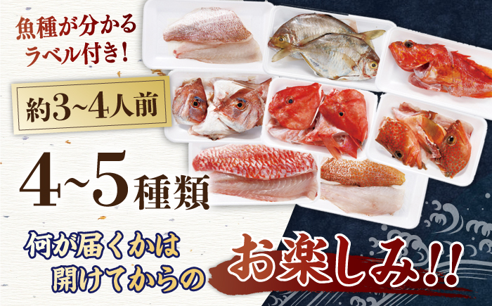 旬の獲れたて鮮魚 冷蔵4-5種【株式会社ひらど新鮮市場】[KAB030]/ 長崎 平戸 魚介類 魚 刺身 たたき 刺身 塩焼き 刺身 漬け丼 刺身 しゃぶしゃぶ 刺身 アレンジ 刺身 冷蔵 刺身 国産