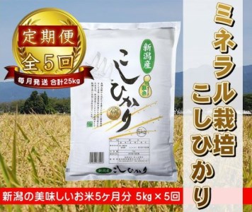 【令和6年産新米予約】5ヶ月定期便 ミネラル栽培こしひかり 5kg×5回 計25kg 白米 精米 井上米穀店 10月上旬より順次発送予定 1I02050