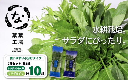葉野菜 2種セット サラダ ほうれん草 みずな | ほうれんそう ホウレンソウ 水菜 ミズナ 生食 野菜 セット 新鮮 健康 人気 おすすめ 高知県 南国市