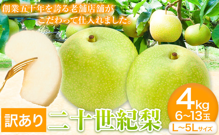 【訳あり】二十世紀梨 約4kg (6~13玉) L~5Lサイズ 《2025年8月下旬-10月上旬頃発送予定》鳥取県 八頭町 梨 なし ナシ 果物 フルーツ ご家庭用 先行予約 送料無料 甘い 果実 果汁 デザート