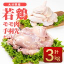 【ふるさと納税】大分県産 若鶏 モモ肉 手羽先 セット (合計3kg・2種) 国産 手羽先 もも 惣菜 おかず 唐揚げ 煮物 セット 詰め合わせ 冷凍 大分県 佐伯市【CQ10】【 (株)Aコープ九州鶴見店】