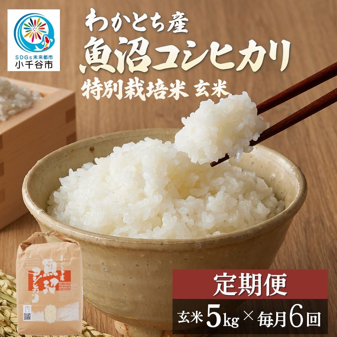 【6か月定期便 コシヒカリ】令和8年産 玄米 魚沼産コシヒカリ 特別栽培米 わかとち産 棚田米 合計30kg（5kg×毎月お届け全6回）Mt.ファームわかとち 新潟県 小千谷市
