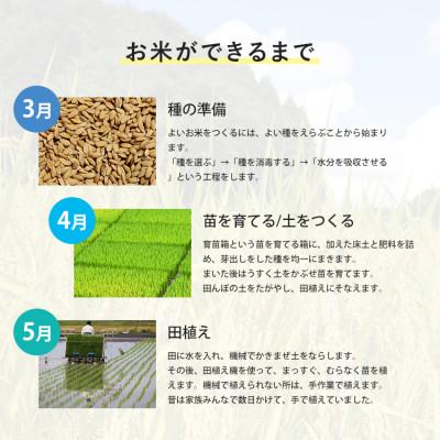 ふるさと納税 早島町 令和7年産 にこまる 岡山県産 10kg(5kg×2) 新米 白米 |  | 01