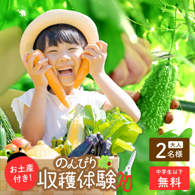 【ふるさと納税】京都京丹後で収穫体験！オーガニックファームでのんびり過ごそう！ 収穫体験 & お土産 付き ( 2名 様分) 体験 体験チケット チケット ペアチケット 京都 京丹後 農業 農家 オーガニック てんとうむしばたけ 大自然 自然体験 旬の野菜 ピクニック 有機野菜