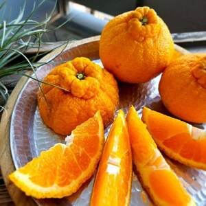 人気の不知火入り!みかん色々4-5種5kg季節の柑橘が楽しめる詰め合わせBox【先行受付】【1531520】