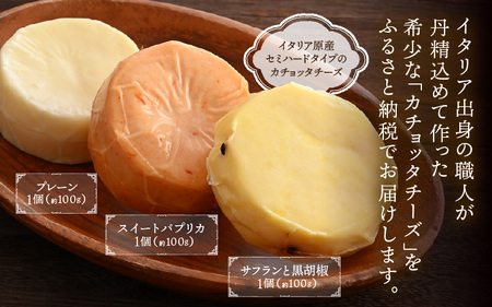100％県産生乳！イタリア出身の職人が作るカチョッタチーズ3種（プレーン、スイートパプリカ、サフランと黒胡椒） [aw128-a007]