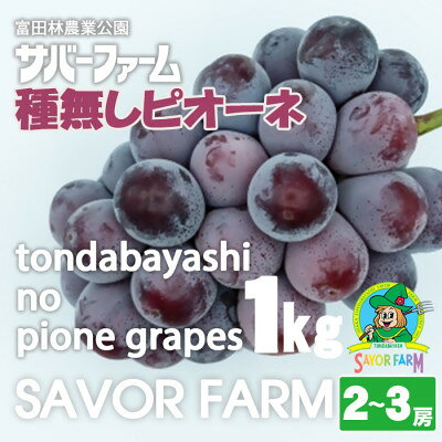 【ふるさと納税】種無しピオーネ1kg(2～3房)【配送不可地域：離島】【1763150】