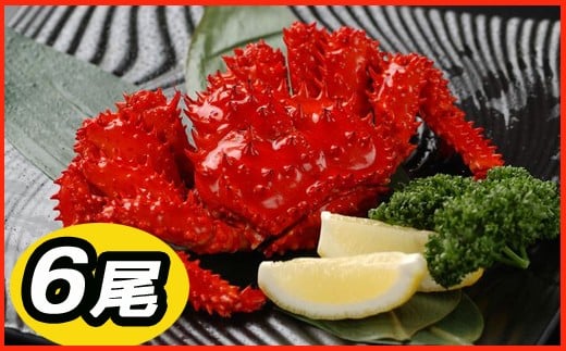 C-30031 【北海道根室産】花咲かに400g～500g前後×6尾