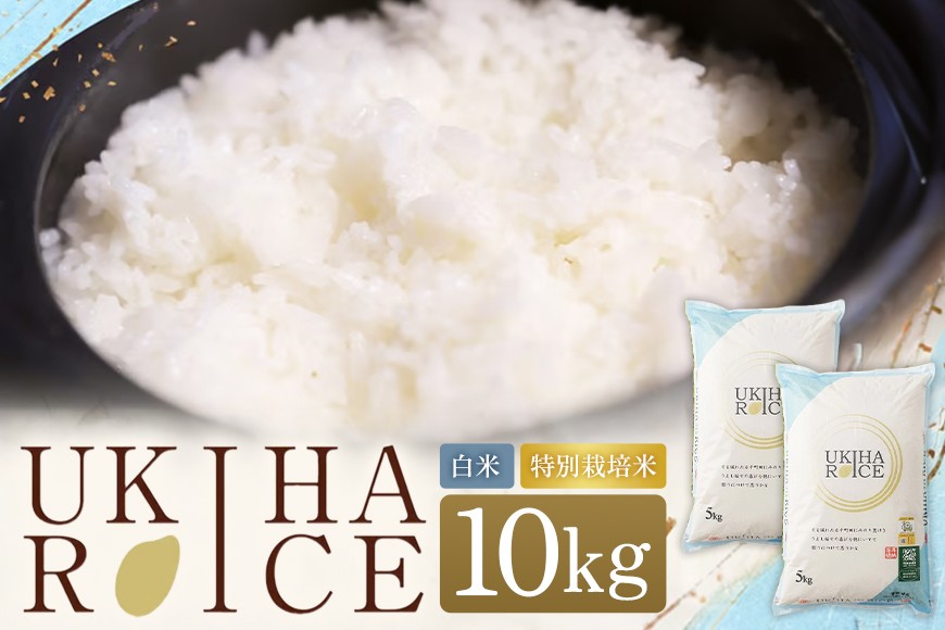 
                  【ふるさと納税】米 白米 精米 UKIHA RICE 10kg（5kg×2袋） 特別栽培米 ヒノヒカリ 令和7年産 こめ ご飯 コメ ごはん 送料無料 国産 国産米 福岡 返礼品 お弁当 おにぎり 家庭用 ギフト プレゼント 仕送り rice kome  お取り寄せ うきは市 株式会社みずほファーム
                