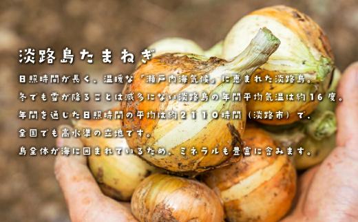 【訳あり】今井ファームの淡路島たまねぎ 5kg【サイズ混合S