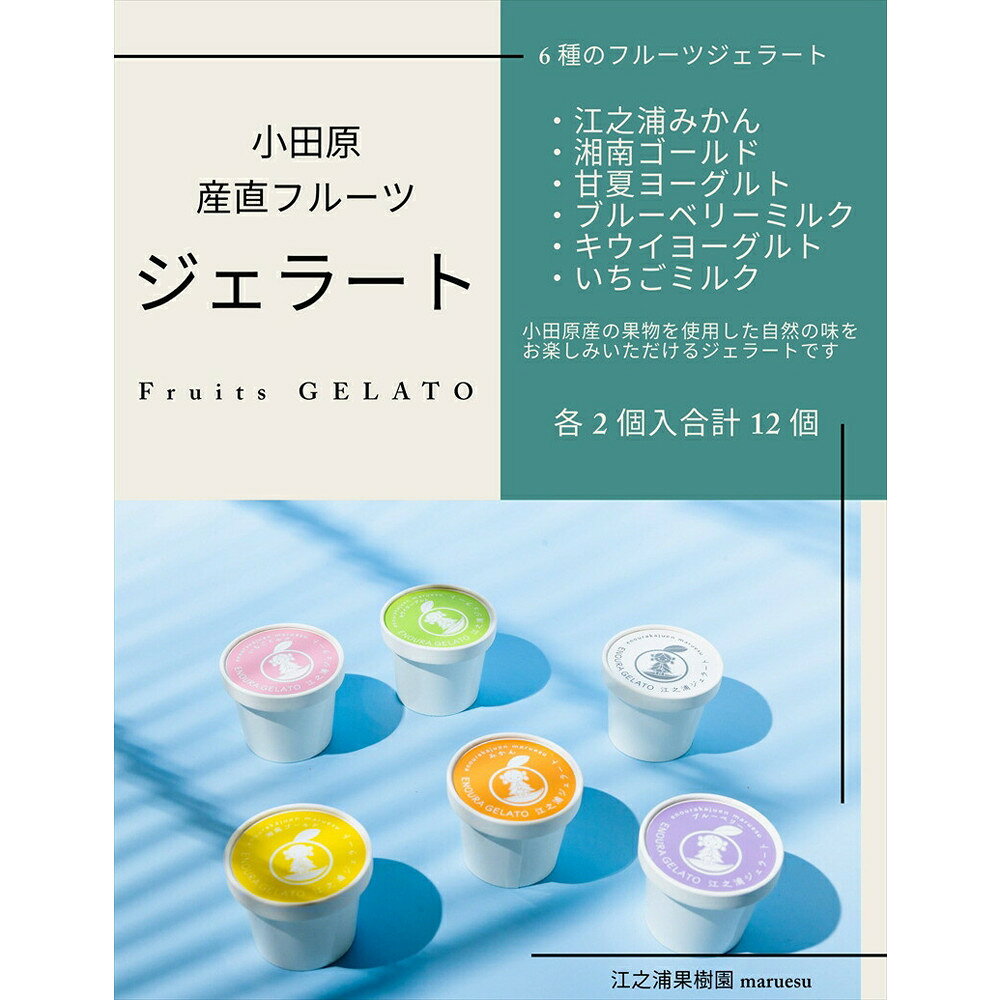 【ふるさと納税】【定期便 9回】 小田原産江之浦ジェラート6種（みかん、湘南ゴールド、ブルーベリーミルク、いちごミルク、キウイヨーグルト、甘夏ヨーグルト）120mlカップ各2個合計12個