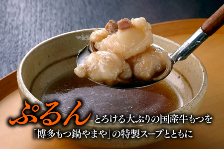 AF055.【やまや】博多もつ鍋（あごだし醤油味・3～4人前）