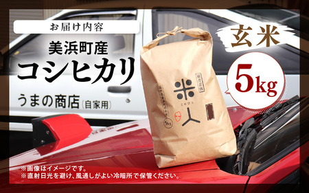 令和7年産 コシヒカリ 5kg【玄米】 [m25-a006_03]