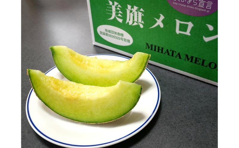 メロン 美旗メロン 伊賀 2L 1.4kg 2玉 三重県 名張 希少 産直 JAいがふるさと フルーツ 果物 旬 国産 夏 甘い 産地直送 お中元 ギフト 贈り物 夏の果物 名産品 完熟 ジューシー 農家直送 フルーツギフト 糖度 冷蔵 収穫 三重県産 旬の果物