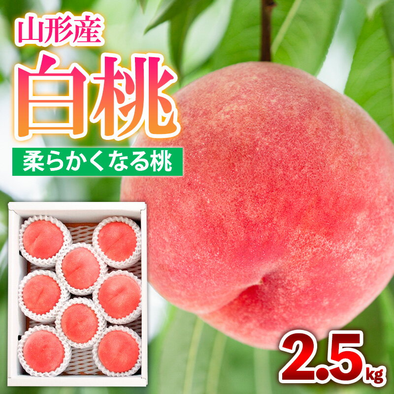 【ふるさと納税】山形産 白桃 [柔らかくなる桃] 2.5kg(7～10玉) 秀品 品種おまかせ 【令和7年産先行予約】FS24-730