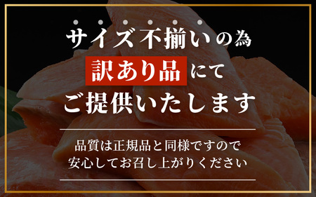 【先行予約】 【訳あり】 ふくいサーモン切り落とし (生食用) 150g × 2パック 合計300g 皮剝ぎ・骨抜き加工済 サイズ不揃い 真空冷凍 【2025年8月上旬以降順次発送】 【サーモン 鮭 