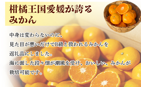 愛媛県明浜産「皮より中身」みかん（10㎏）