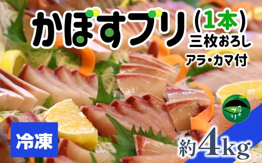 
                  【冷凍】うすき産（養殖）かぼすブリ・1本 三枚おろし　ぶり 鰤 魚介 ブリカマ アラ
                