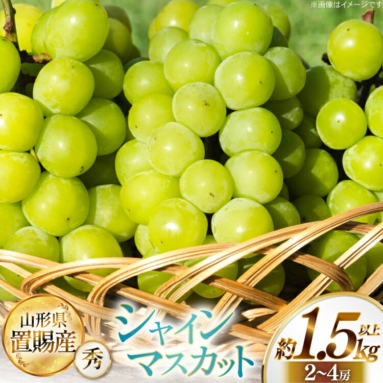 【ふるさと納税】 【期間限定発送】 シャインマスカット 秀 2～4房 約 1.5kg 以上 [JA山形おきたま 山形県 高畠町 tk06ays870058] フルーツ 果物 くだもの ぶどう ブドウ 葡萄 1.5キロ 甘い
