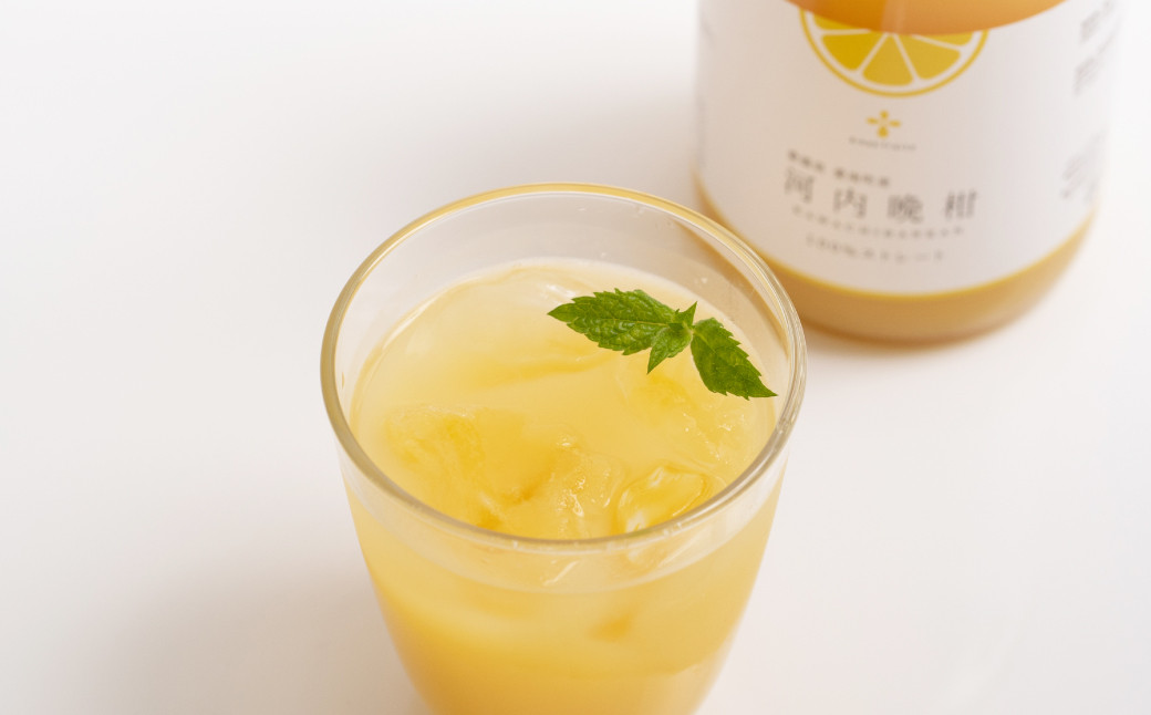 無添加 果汁100％ 河内晩柑ジュース 720ml×3本入【えひめの町（超）推し！（愛南町）】（576）