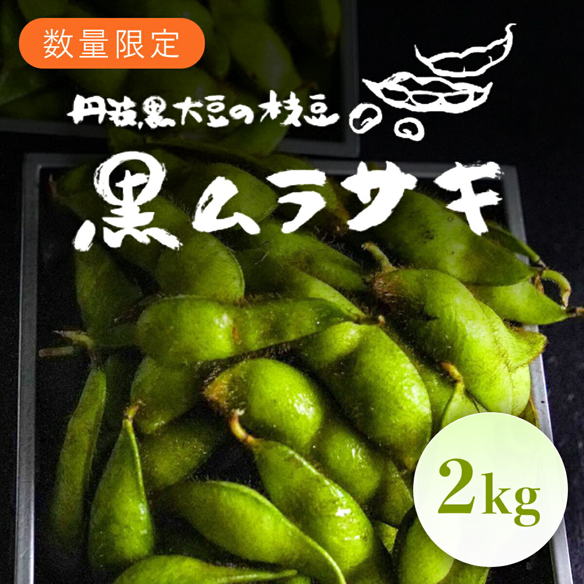 【ふるさと納税】 ★先行予約★【2025年10月発送！】丹波黒大豆の枝豆「黒ムラサキ」2kg / ふるさと納税 京野菜 野菜 丹波 黒大豆 枝豆 大粒 季節限定 数量限定 京都府 福知山市 FCDB038