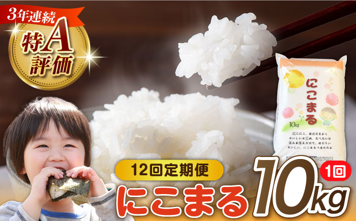 米【 12回定期便 】 長崎県産 精米 にこまる 10kg 総計 120kg 精米 白米 お米 ライス ごはん 米 こめ ご飯 国産 お取り寄せ / 南島原市 / 大松屋商店 [SDR008]
