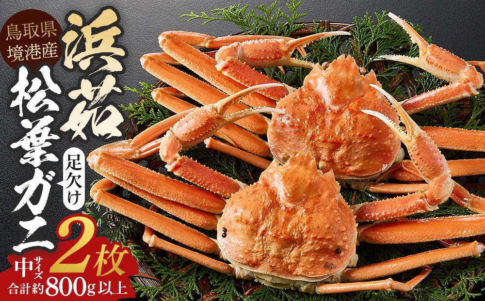 
                  ＜11月中旬～3月上旬発送予定＞浜茹松葉ガニ足欠(2枚/計約800g以上) | 松葉ガニ 松葉がに ズワイガニ ずわいがに 蟹 かに カニ ボイル ボイル済み 茹で 浜茹で カニ姿 丸ごと 足欠 足折れ 訳あり 家庭用 食べやすい 海鮮 魚介 魚介類 カニ味噌 濃厚 旨味 冬限定 期間限定 冷蔵 冷凍 お取り寄せ グルメ 人気 おすすめ 国産 境港産 鳥取県 境港市
                