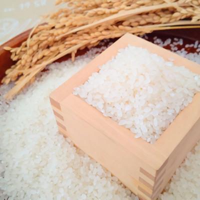 ふるさと納税 伊万里市 お米マイスター厳選!　夢しずく(無洗米)2kg×3袋(真空パック) |  | 02