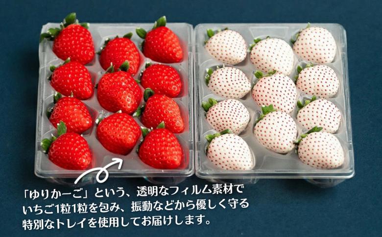 佐賀県産いちご さがほのか＆パールホワイト 紅白セット：B140-008