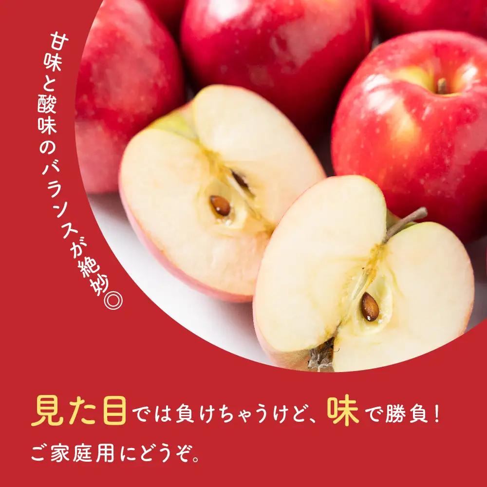 りんご 令和8年産 訳あり りんご サンふじ 約5kg