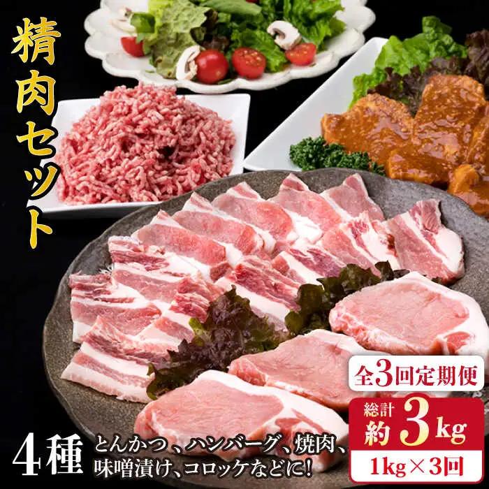 【全3回定期便】毎日のメインのおかずを彩る精肉セット 1,050g 2-3人前 4種 糸島市/糸島ミートデリ工房[ACA201]