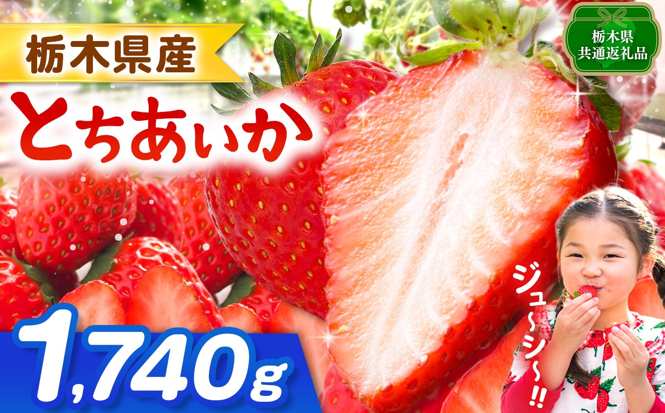
                  【栃木県共通返礼品】【先行予約】とちあいか 1740g | 果物 くだもの フルーツ 野菜 やさい ヤサイ 苺 イチゴ いちご とちあいか 新鮮 甘い 数量 限定 美味しい 果物 共通返礼品 フルーツ デザート 栃木県 那珂川町 送料無料
                