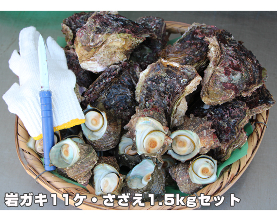【冷蔵】岩ガキ・さざえ　約７kg～約７.5kg 豪華セット／貝　牡蠣　かき　バーベキュー　伊勢志摩産