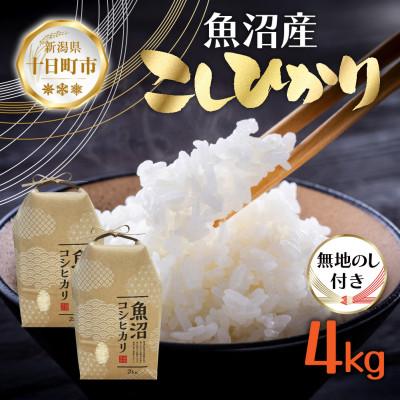 ふるさと納税 十日町市 無地のし【令和7年産 新米予約】魚沼産 コシヒカリ 4kg 精米 新潟県 十日町市 仁田地区限定