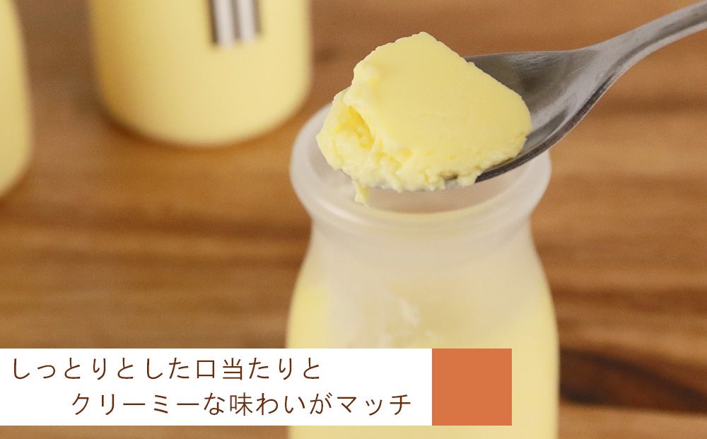 ライダーにも人気!とろとろプリン5種10個セット<とらや菓子司>