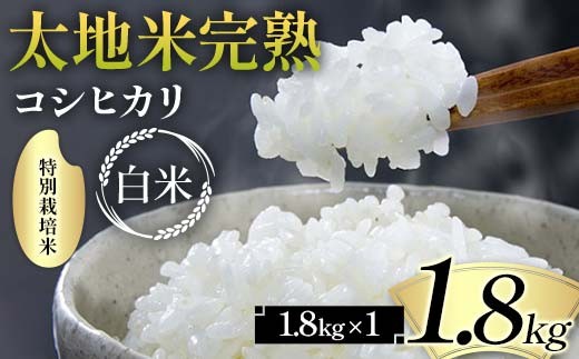 2026年産 特別栽培米 太地米完熟 【こしひかり】 白米 1.8kg ブランド米 お米 精米 白米 人気 F7X-0660