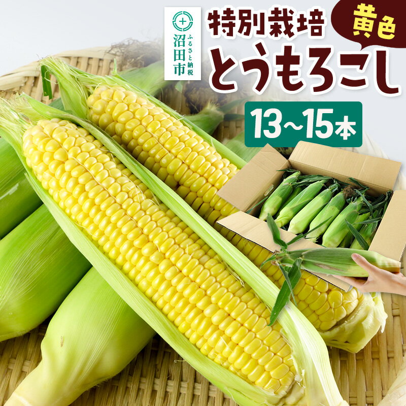 【ふるさと納税】《7月下旬〜9月中旬発送》沼田市産 特別栽培のとうもろこし 13〜15本 黄色 ゴールドラッシュ
