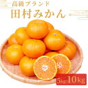 【ふるさと納税】高級ブランド田村みかん　5kg～10kg【予約】※2024年11月下旬頃〜2025年1月下旬頃に順次発送予定(お届け日指定不可)