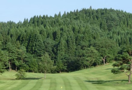 660P8401 【大館カントリークラブ】ゴルフプレー券1組4名様分 【配送日指定不可】